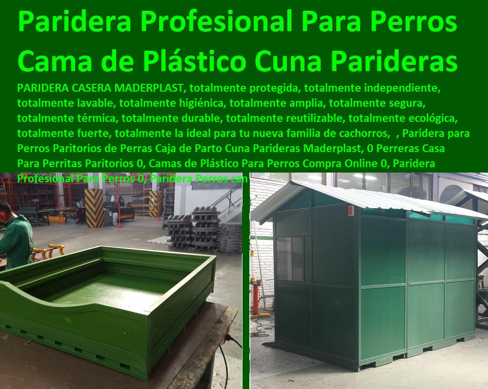 CASAS PARA PERROS MASCOTAS 0 AGILITY DE PERROS 0 PISTAS DE